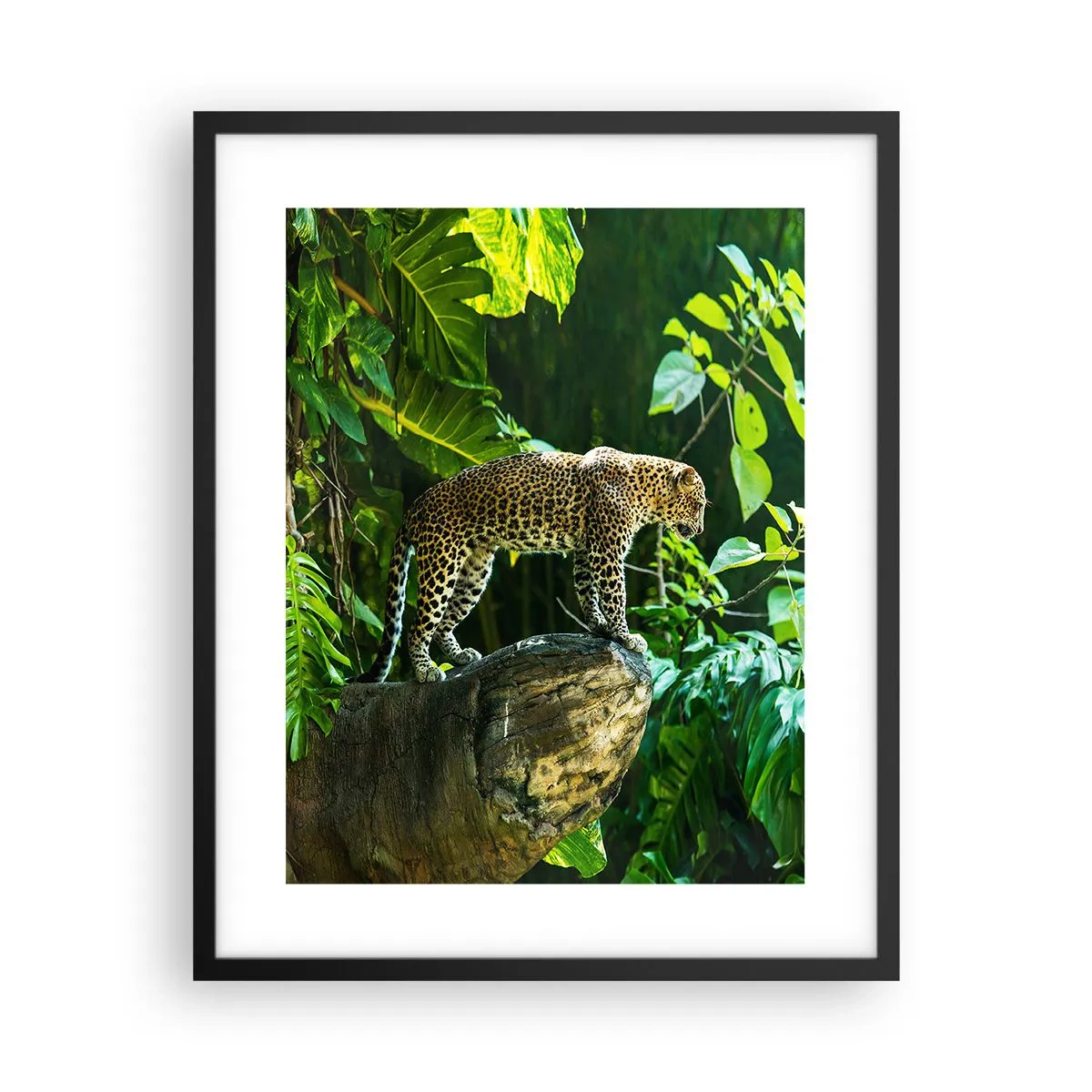 Poster în ramă neagră - La vânătoare? - 40x50 cm