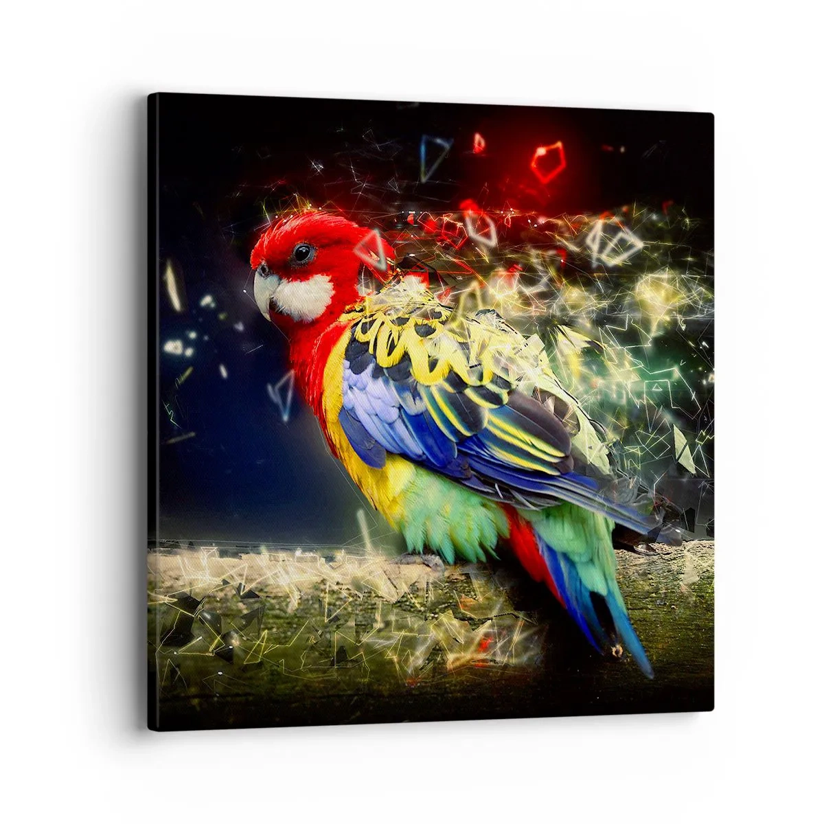 Tablou pe pânză - Mesagerul strălucirii - 40x40 cm