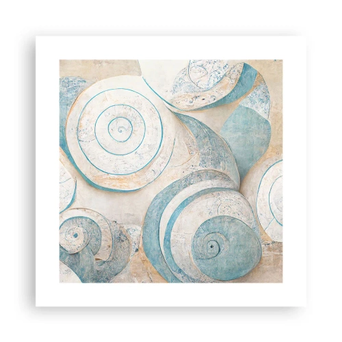 Poster - Ce ascunde cochilia? - 40x40 cm