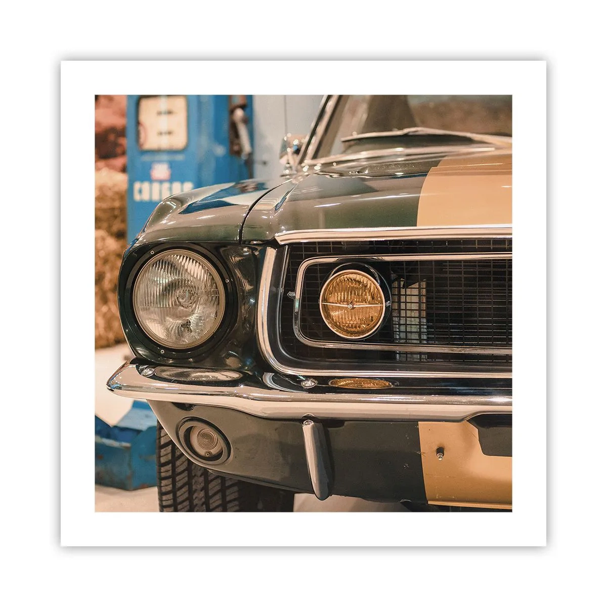 Poster - Întâlnire cu o legendă - 50x50 cm