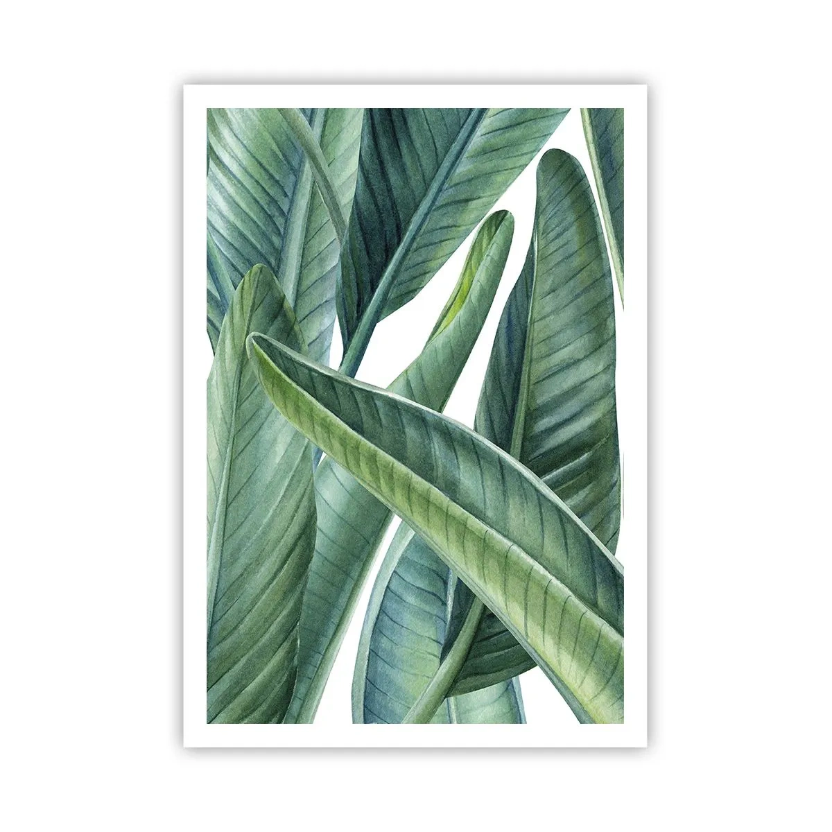 Poster - Verdeața în sine - 70x100 cm