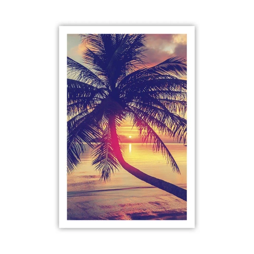 Poster - O seară sub palmieri - 61x91 cm