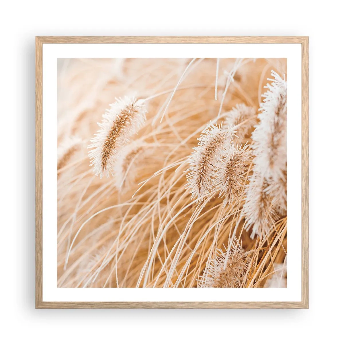 Poster în ramă de stejar deschis - Foșnetul auriu al ierburilor - 60x60 cm