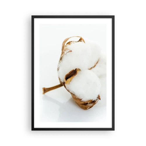 Poster în ramă neagră - Prim-plan al unei crenguțe de bumbac cu fibre albe delicate. - 50x70cm - Moale prin natură - Decorațiune modernă pentru perete pentru living și dormitor ARTTOR