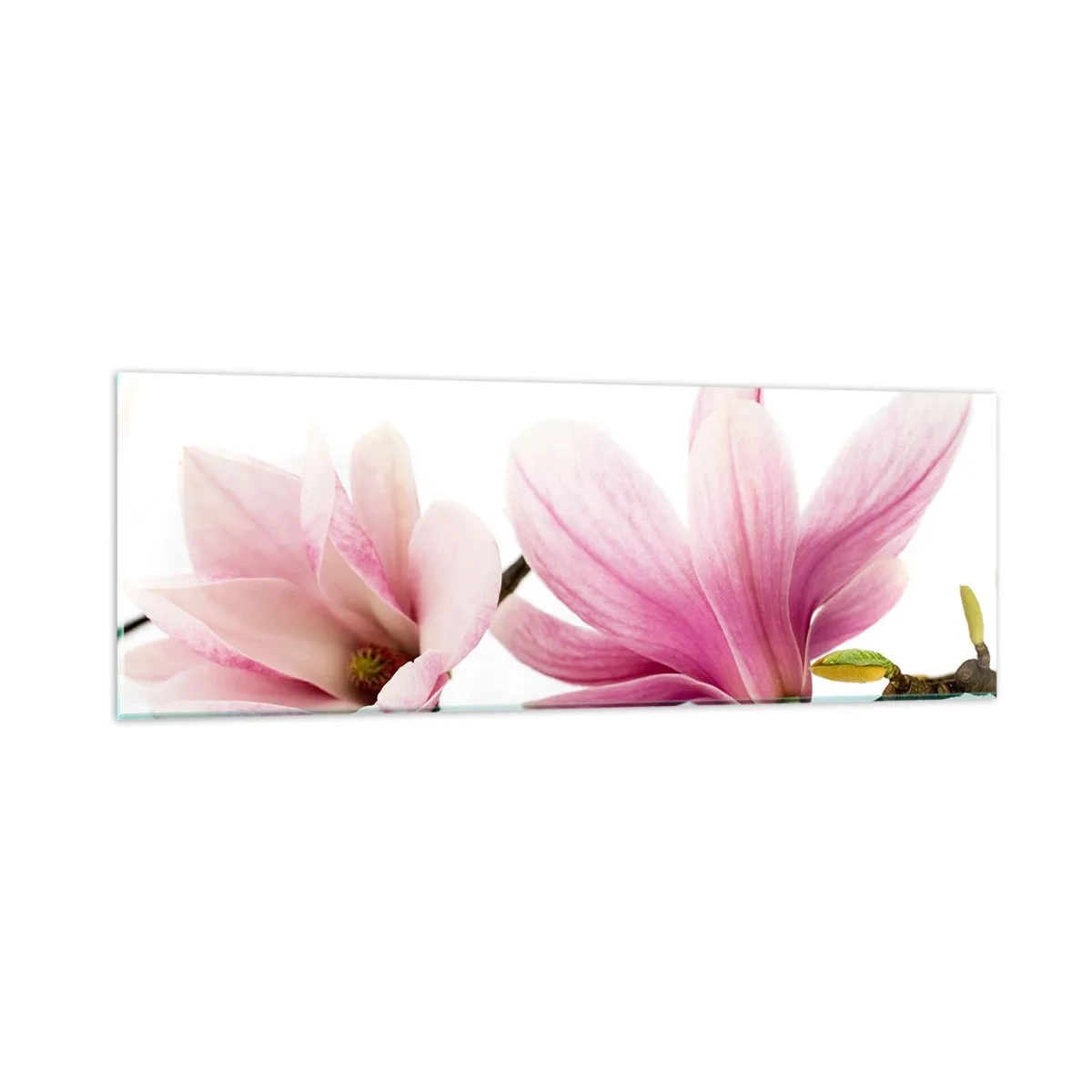 Tablou pe sticlă - Delicate ca o adiere de primăvară - 90x30 cm