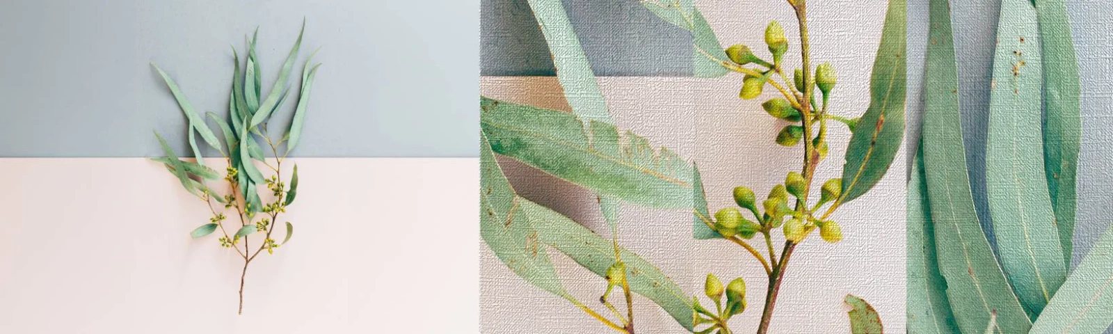 Mostră tapet Premium Canvas - Subtilitate pastelată - Pastel, Plantă, Boho - 100x30 cm