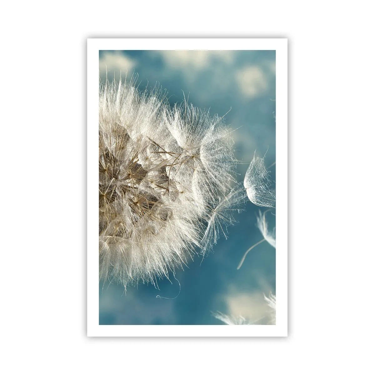 Poster - Respirația unui înger - 61x91 cm