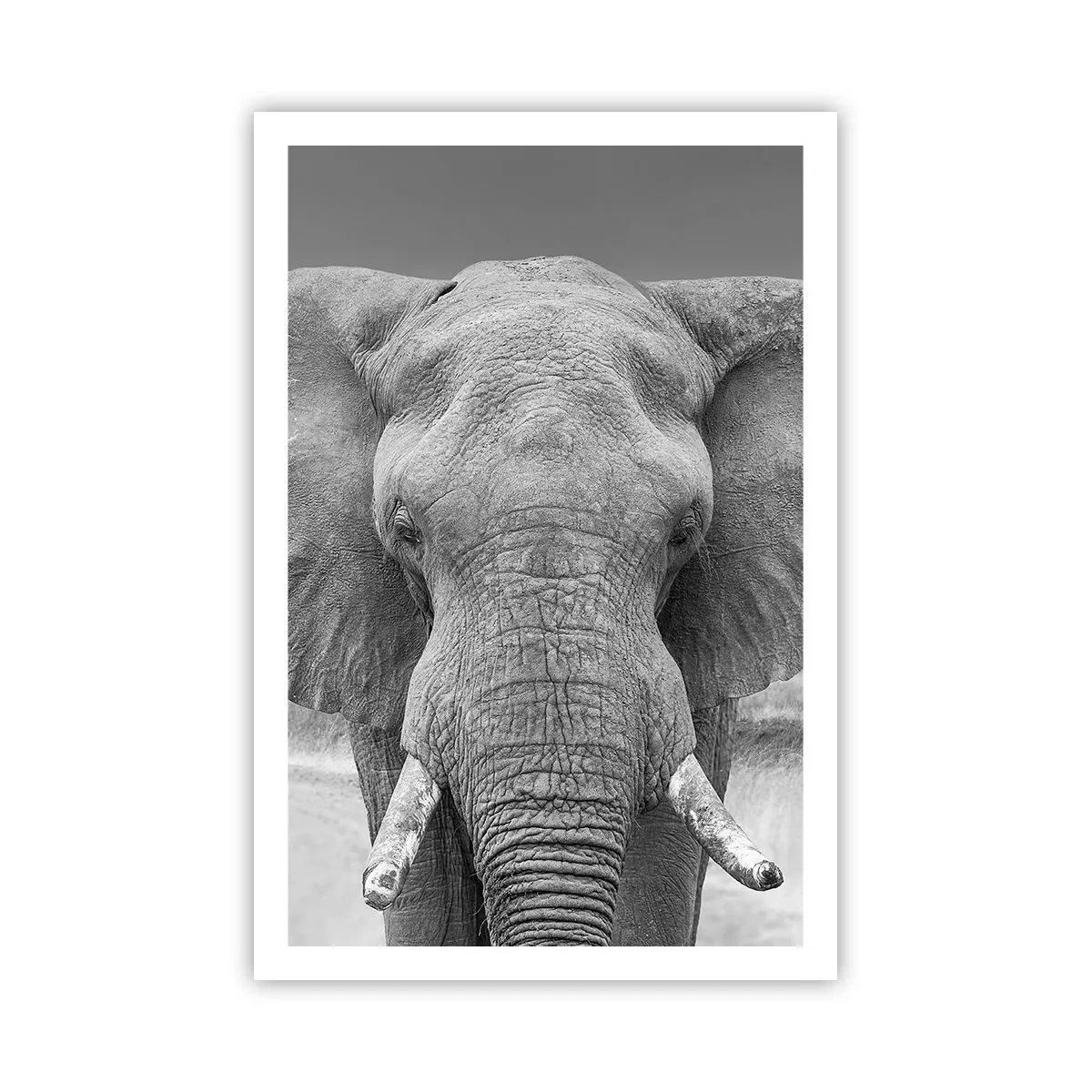 Poster - Bun venit în lumea mea - 61x91 cm