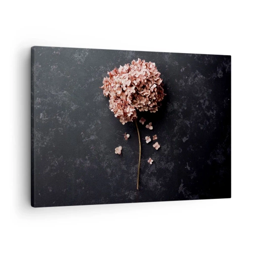 Tablou pe pânză Canvas - O floare delicată de hortensie pe un fundal întunecat - 70x50cm - Un semn cu adevărat romantic - Decorațiune modernă pentru perete pentru living și dormitor ARTTOR