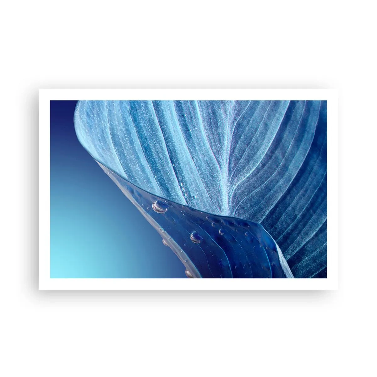 Poster - Picături ascunse de albastru - 91x61 cm