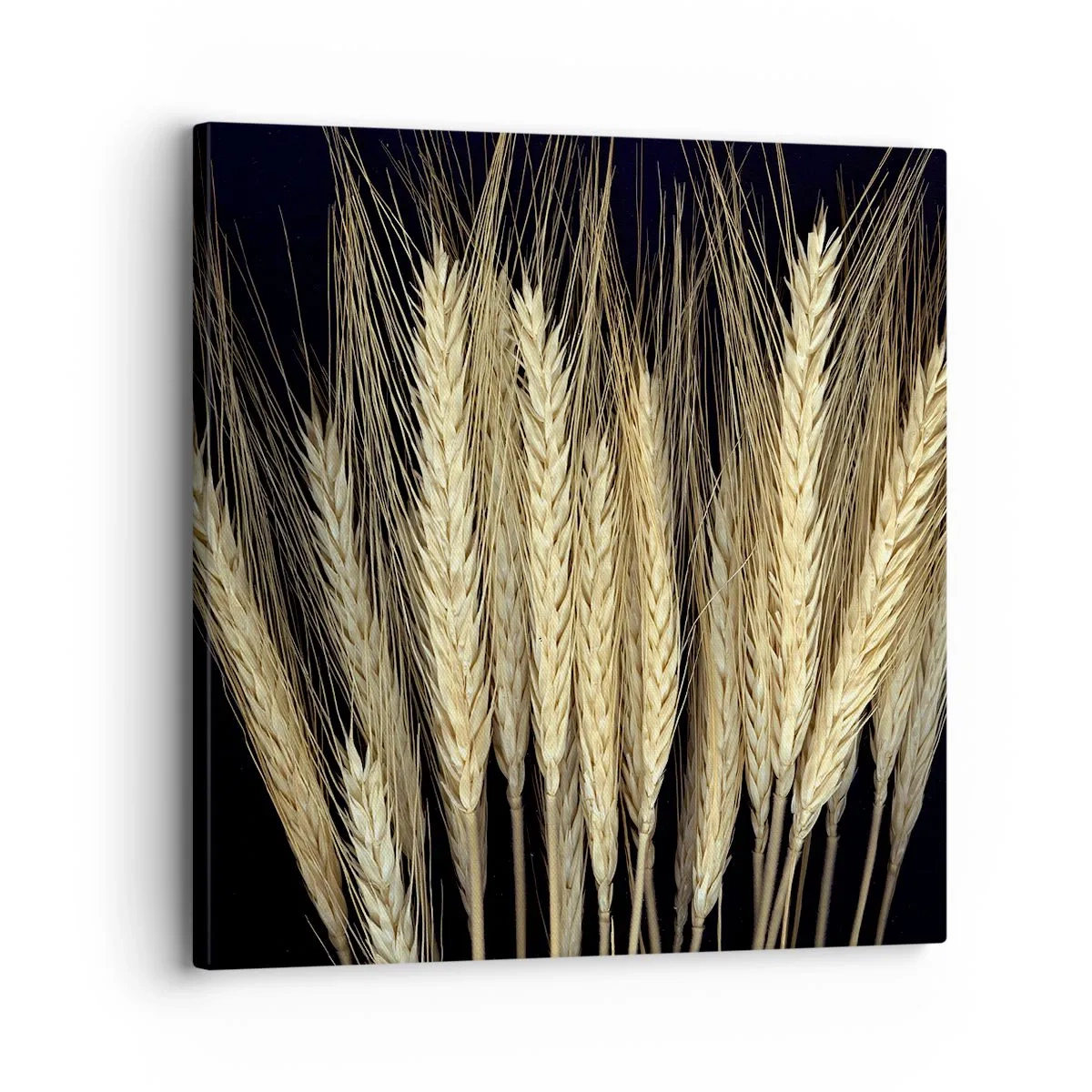 Tablou pe pânză - Magie rustică - 30x30 cm