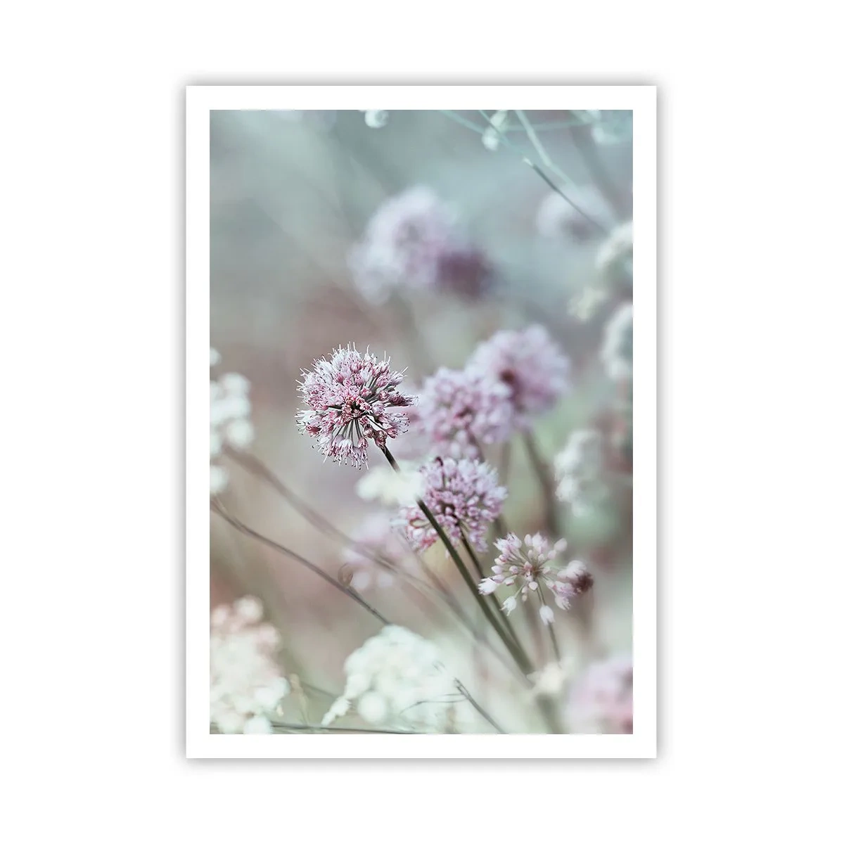 Poster - Ierburi dulci filigranate - 70x100 cm