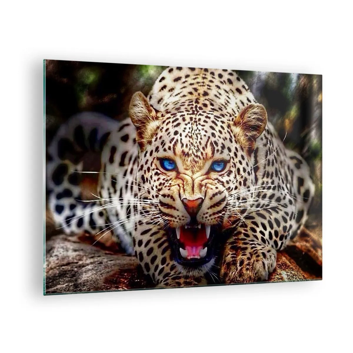 Tablou pe sticlă - Un leopard feroce cu ochi albaștri în sălbăticie - 70x50cm - Furie pură - Decorațiune modernă pentru perete pentru living și dormitor ARTTOR