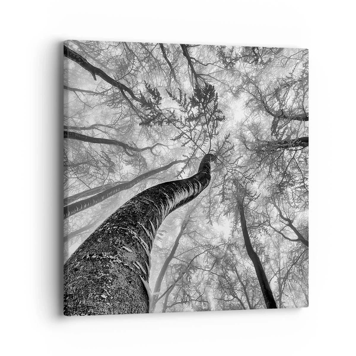 Tablou pe pânză - Cursa spre lumină - 40x40 cm