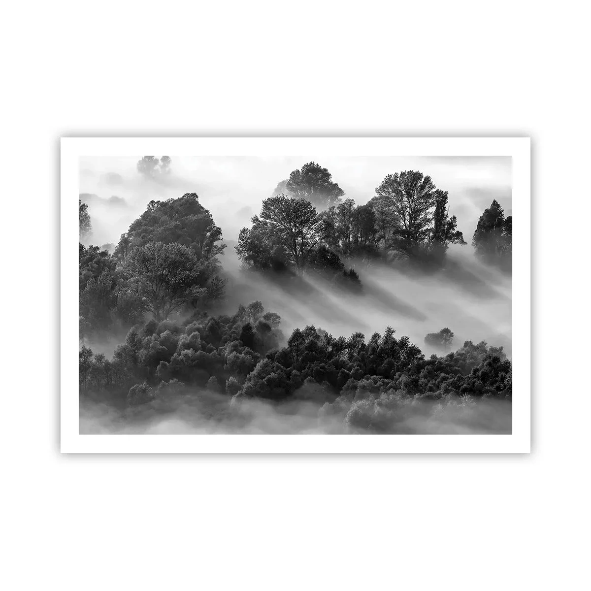 Poster - Trezindu-se din somn - 91x61 cm