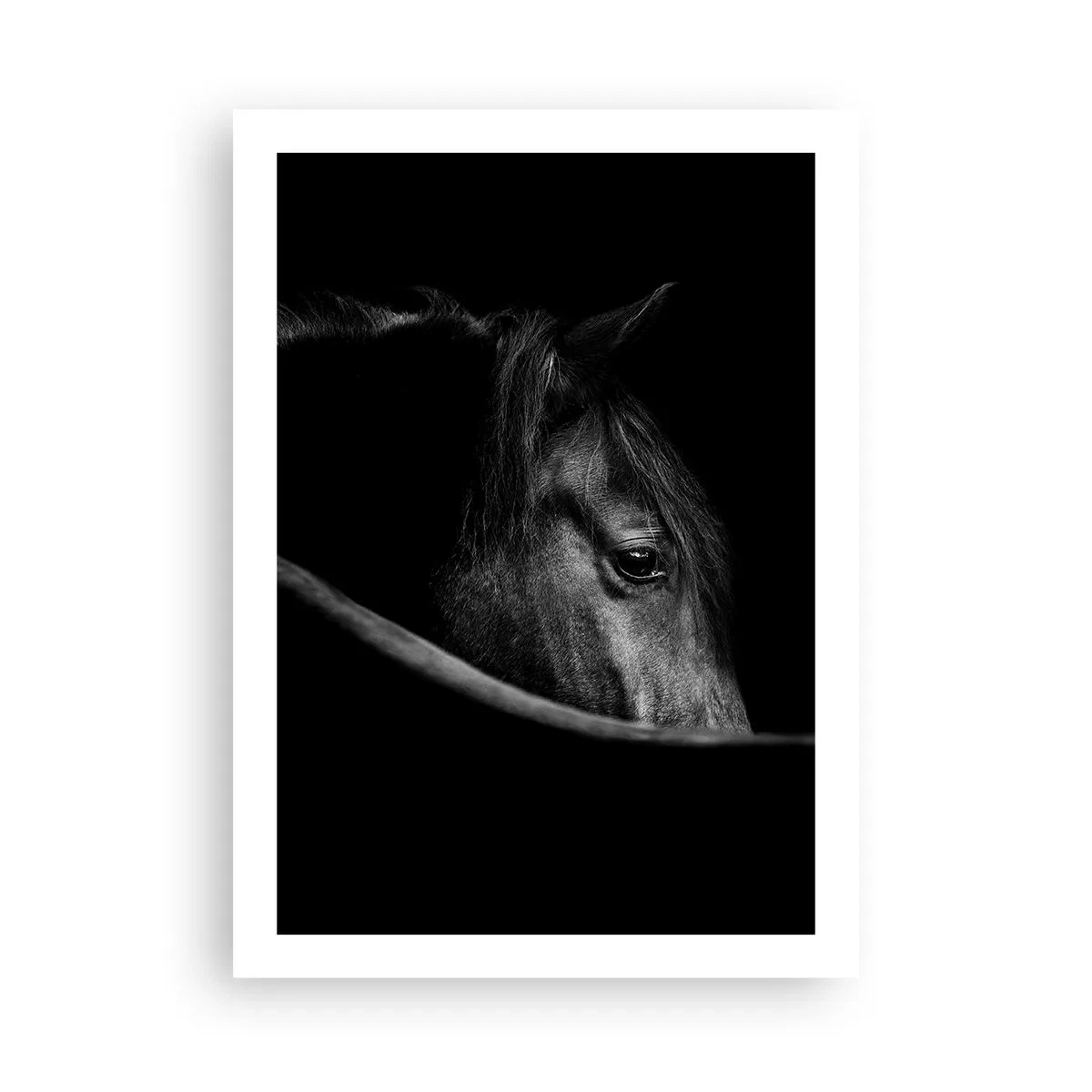 Poster - Prințul negru - 50x70 cm