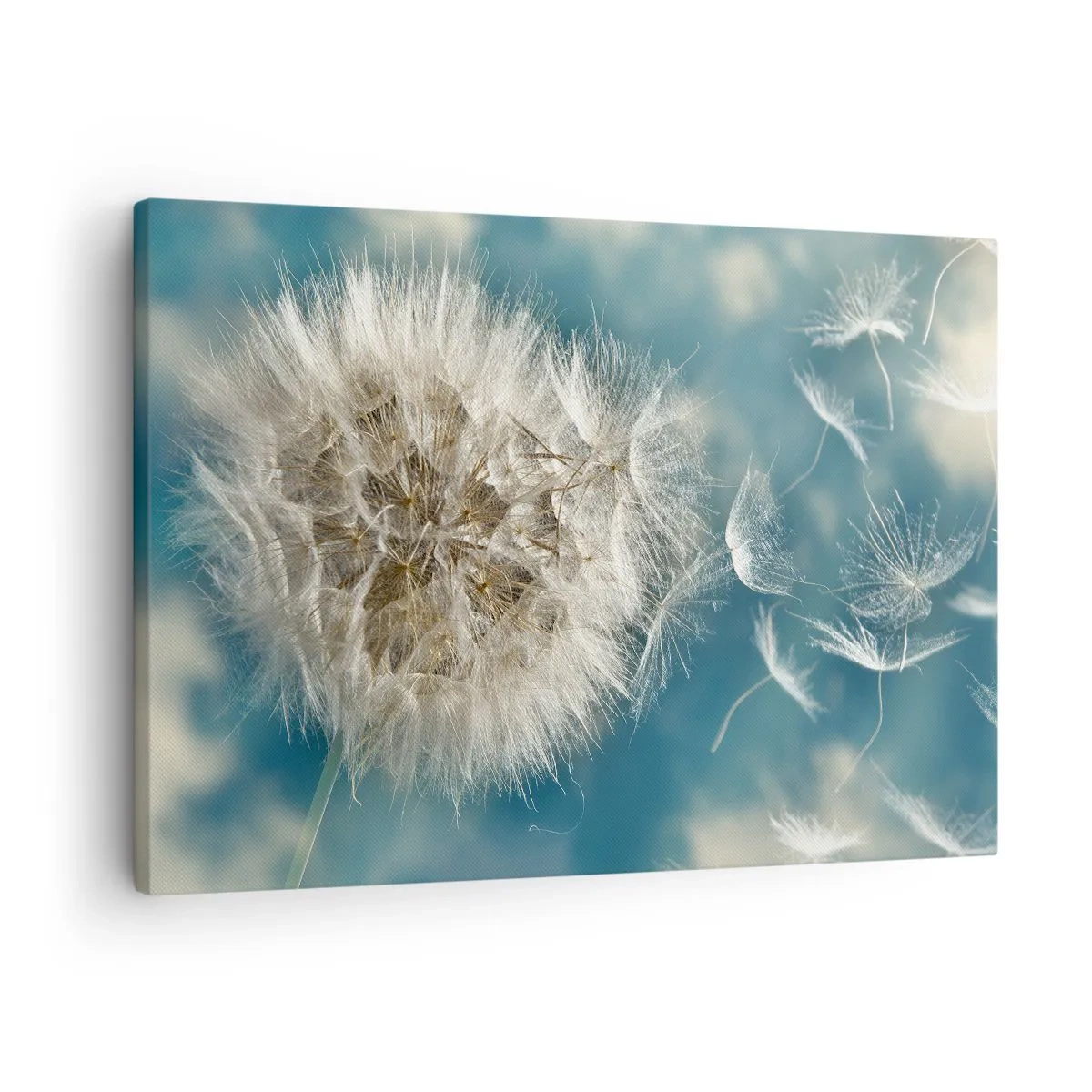 Tablou pe pânză Canvas - O păpădie explodată pe un cer albastru - 70x50cm - Respirația unui înger - Decorațiune modernă pentru perete pentru living și dormitor ARTTOR