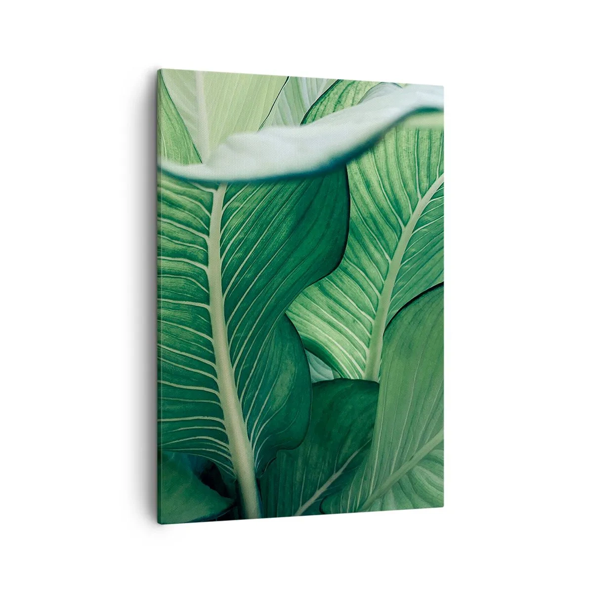 Tablou pe pânză - Viață intensă în verde - 50x70 cm