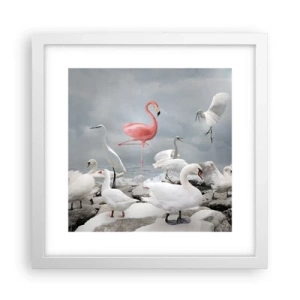 Poster în ramă albă - De unde am venit? - 30x30 cm