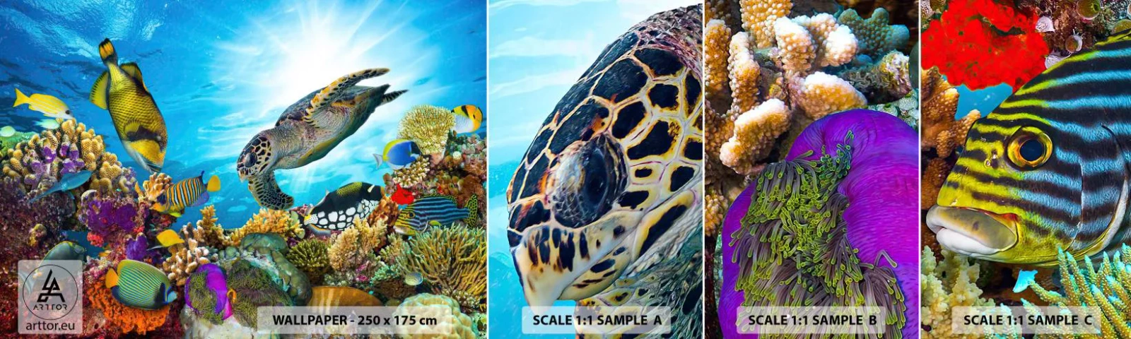 Mostră de Tapet Standard Eco - Promenada de corali - recif de corali, Mare, Lumea subacvatica - 100x30 cm