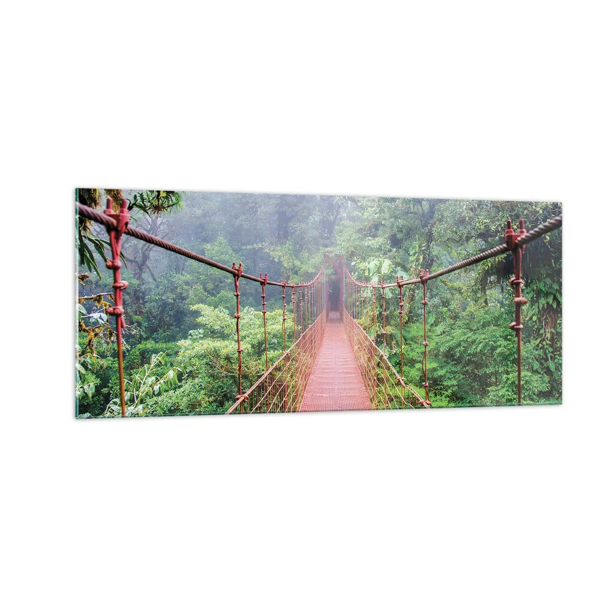 Tablou pe sticlă - Suspendat deasupra coroanelor arborilor - 100x40 cm
