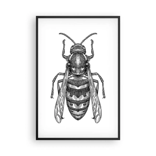 Poster în ramă neagră - De pe o planetă de insecte - 61x91 cm