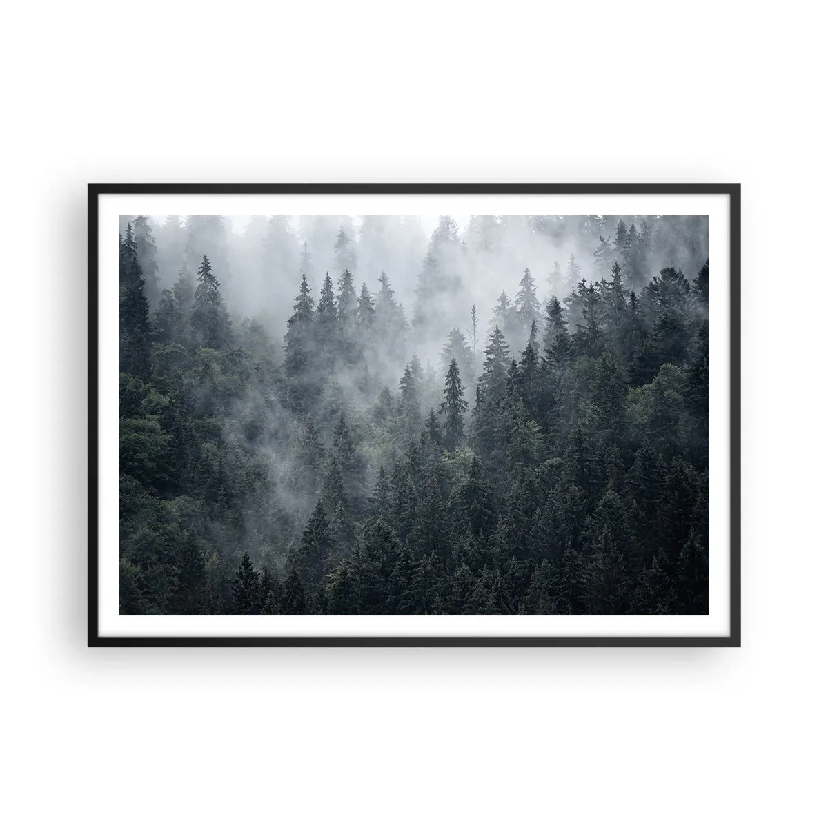 Poster în ramă neagră - Zori de pădure - 100x70 cm