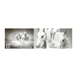 Mostră tapet autocolant Deluxe Sticker - Nebunie albă - Animale, Cai, Natură - 100x30 cm