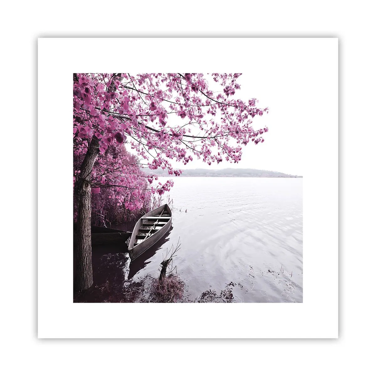 Poster - În tăcerea roz - 30x30 cm