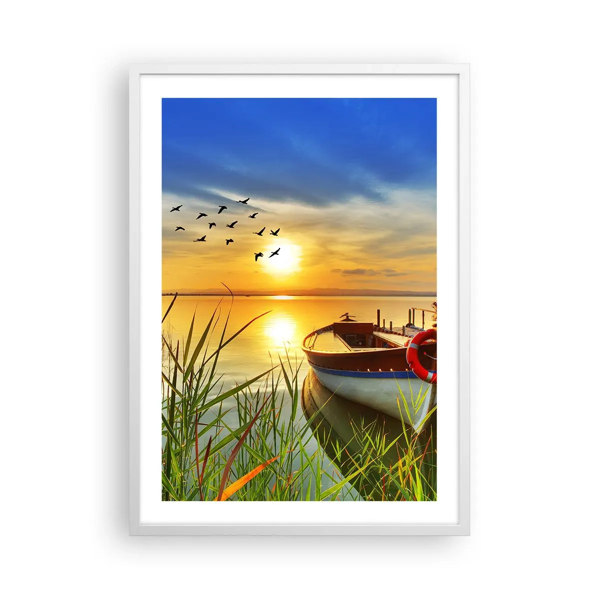 Poster în ramă albă - Cormoranii pleacă deja - 50x70 cm