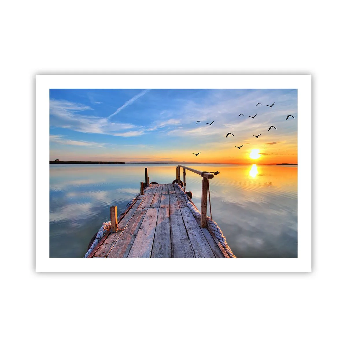 Poster - Mergând înainte spre soare - 70x50 cm