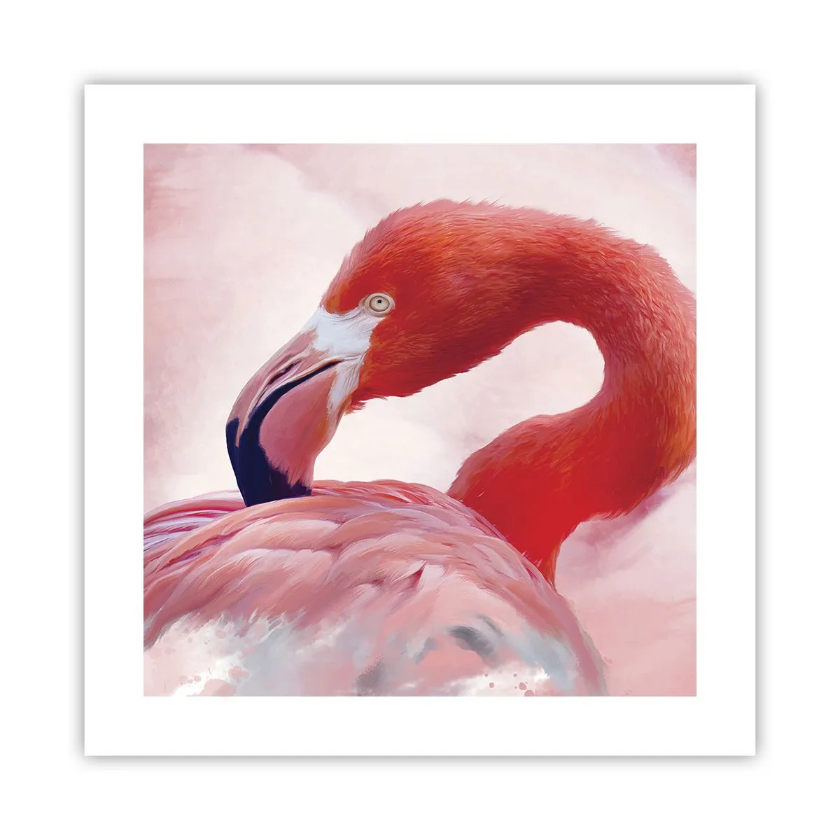 Poster - Frumusețea păsărilor - 40x40 cm