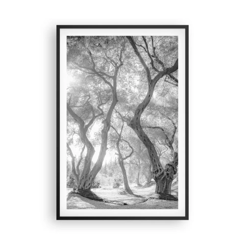 Poster în ramă neagră - Într-o livadă de măslini - 61x91 cm