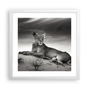 Poster în ramă albă - Odihna reginei deșertului - 40x40 cm