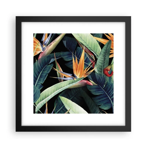 Poster în ramă neagră - Florile de flacără ale tropicelor - 30x30 cm