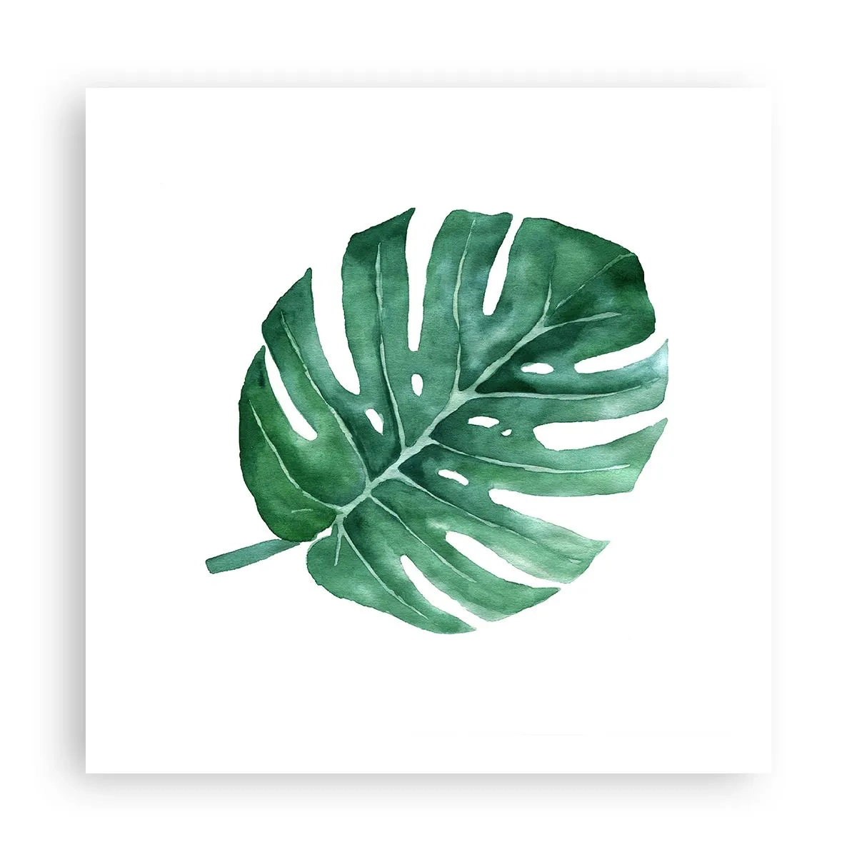 Poster - Conceptul verde - 60x60 cm