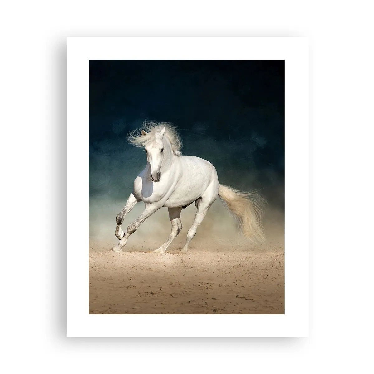 Poster - Libertate în stare pură - 40x50 cm