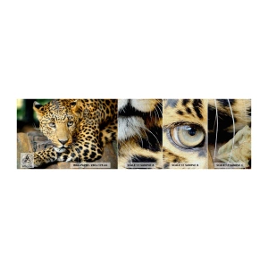 Mostră tapet Premium Canvas - Nu-ți fie teamă, apropie-te - Animale, Panteră, Pisica sălbatică - 100x30 cm