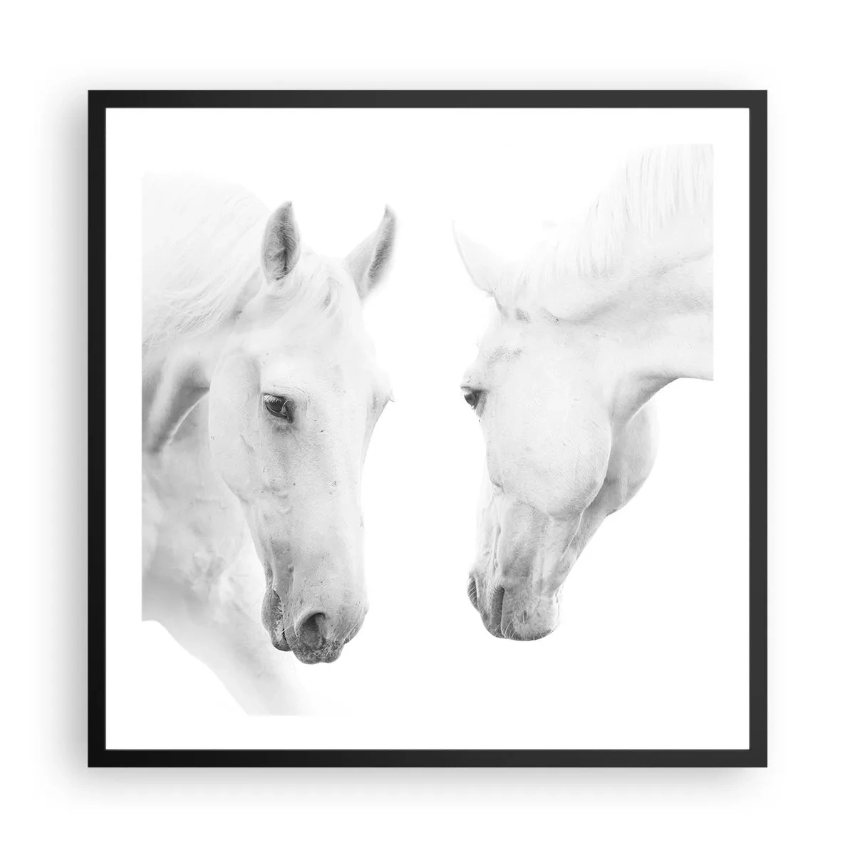 Poster în ramă neagră - Este aceasta o prietenie...? - 60x60 cm
