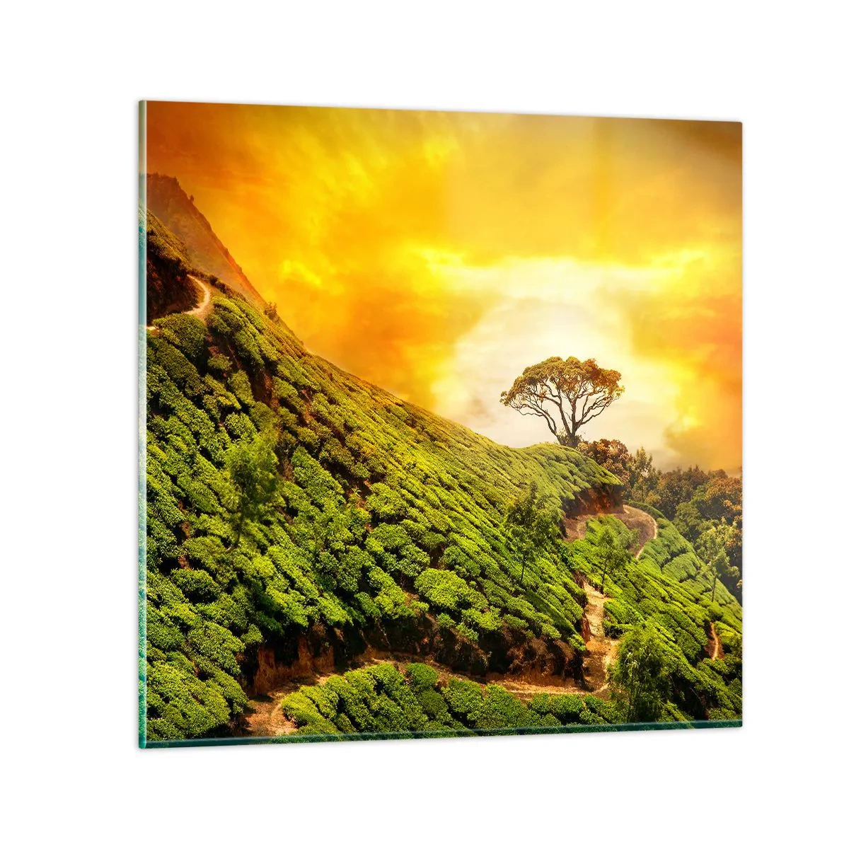 Tablou pe sticlă - O cărare sinuoasă, o pantă verde - 60x60 cm