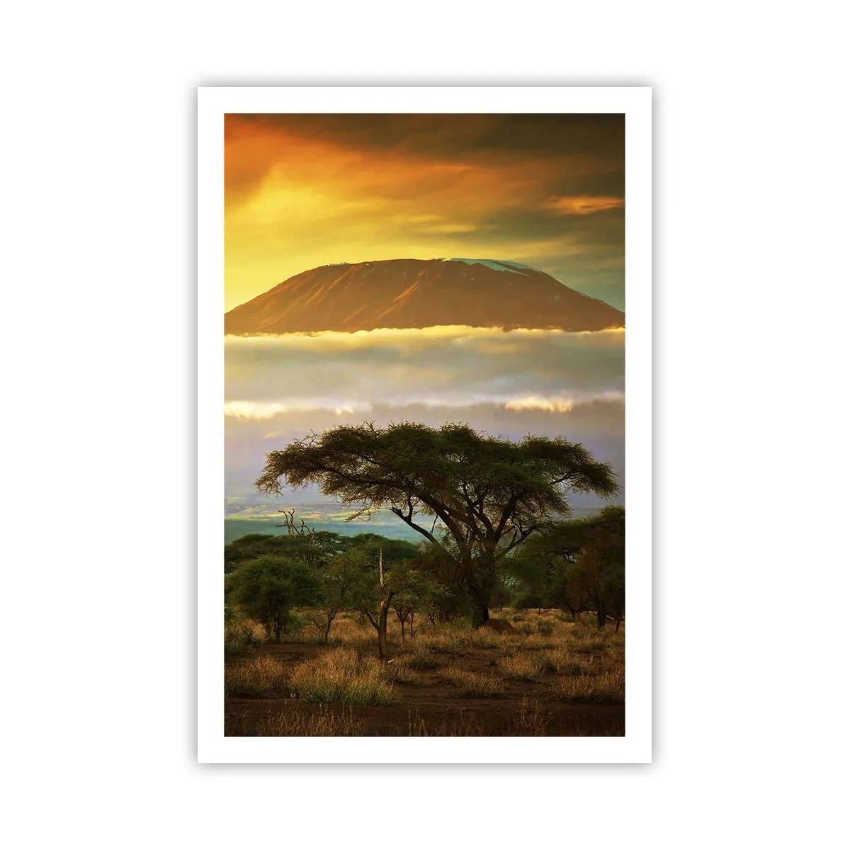 Poster - Visul unui călător - 61x91 cm