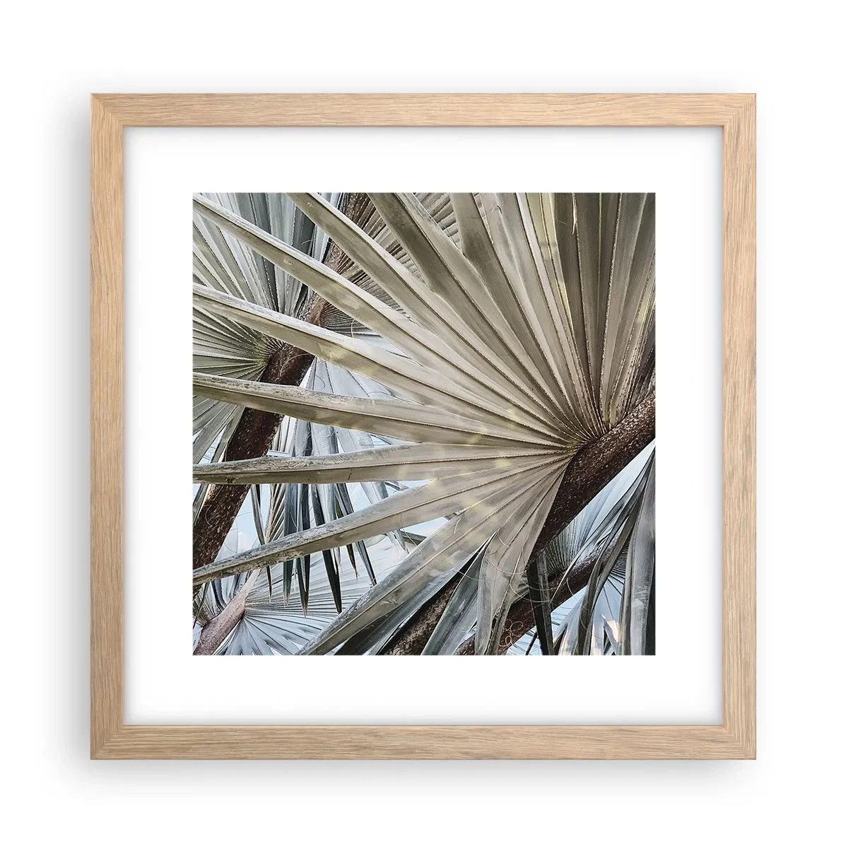 Poster în ramă de stejar deschis - Evantaie din tropice - 30x30 cm