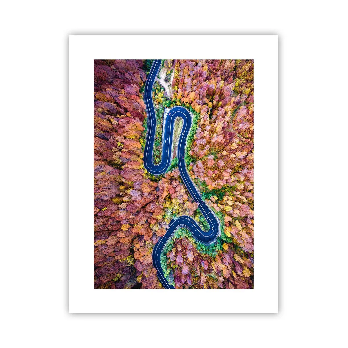 Poster - Un drum șerpuit prin pădure - 30x40 cm