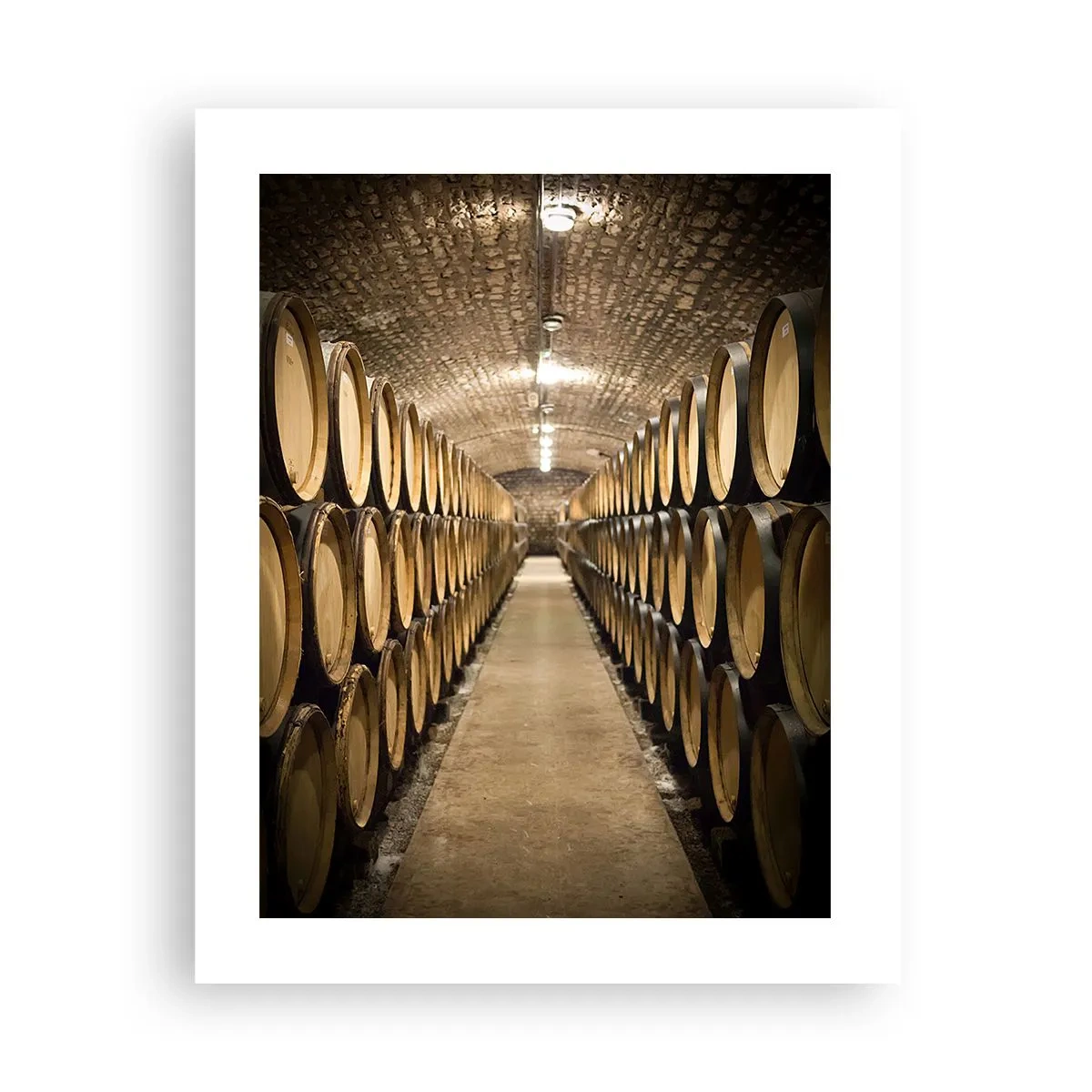 Poster - În pivniță de vin - 40x50 cm