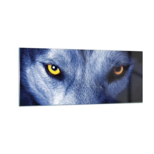 Tablou pe sticlă - O privire hipnotizantă - 100x40 cm