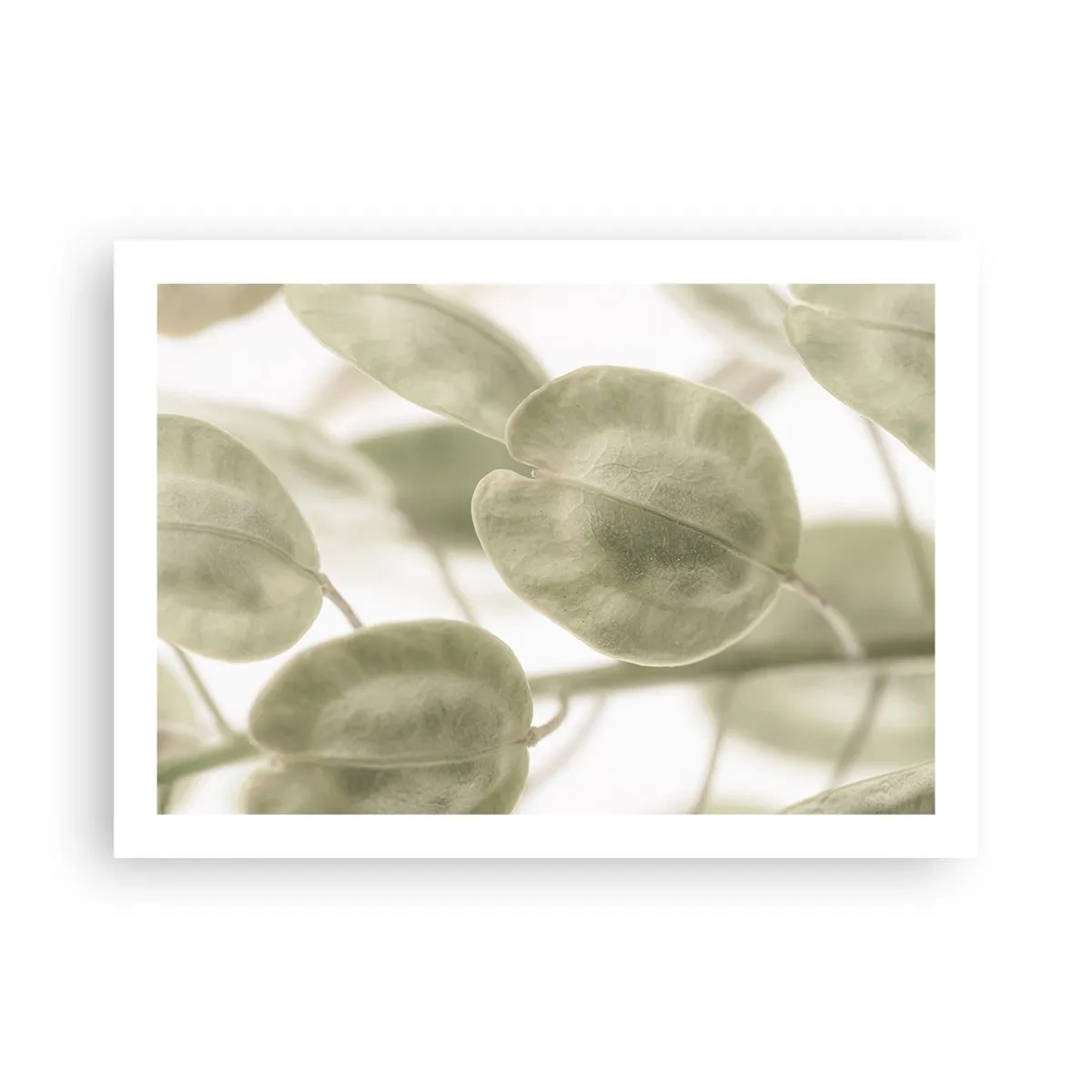 Poster - La început au fost frunzele... - 70x50 cm