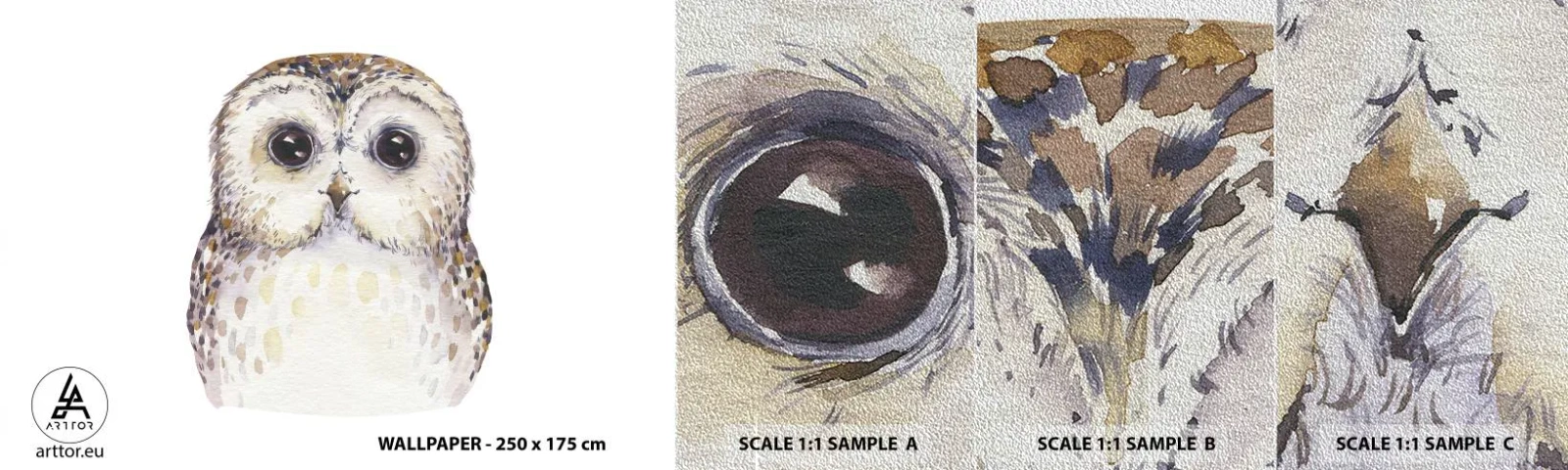 Mostră tapet Premium Sand - Uită-te în ochii mei - Bufniţă, Pasăre, Grafică - 100x30 cm