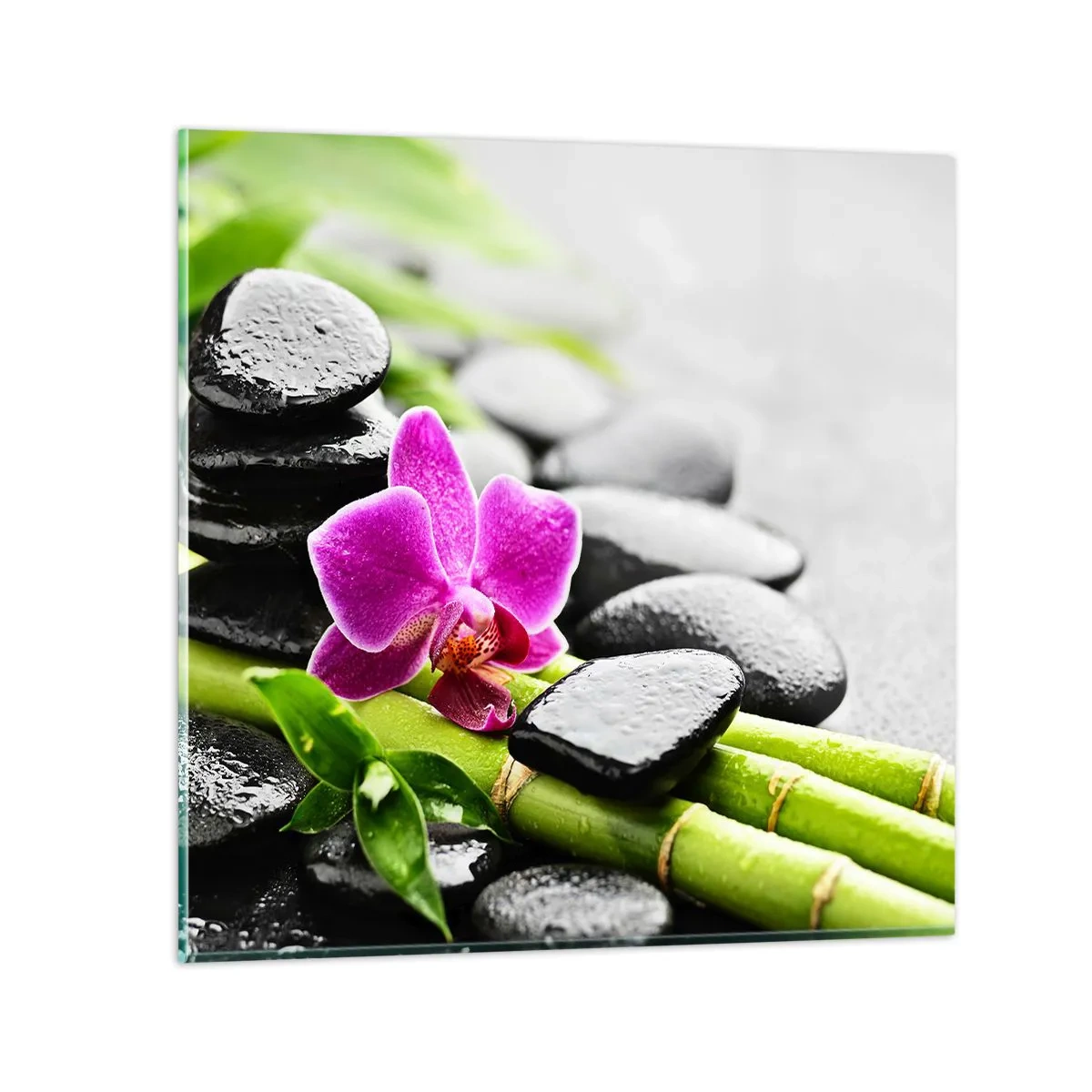 Tablou pe sticlă - Într-un echilibru pașnic - 60x60 cm