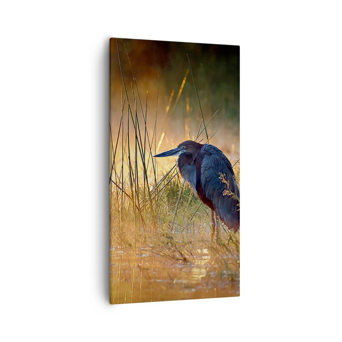 Tablou pe pânză - Lasă-mă în pace cu aceste fotografii - 55x100 cm