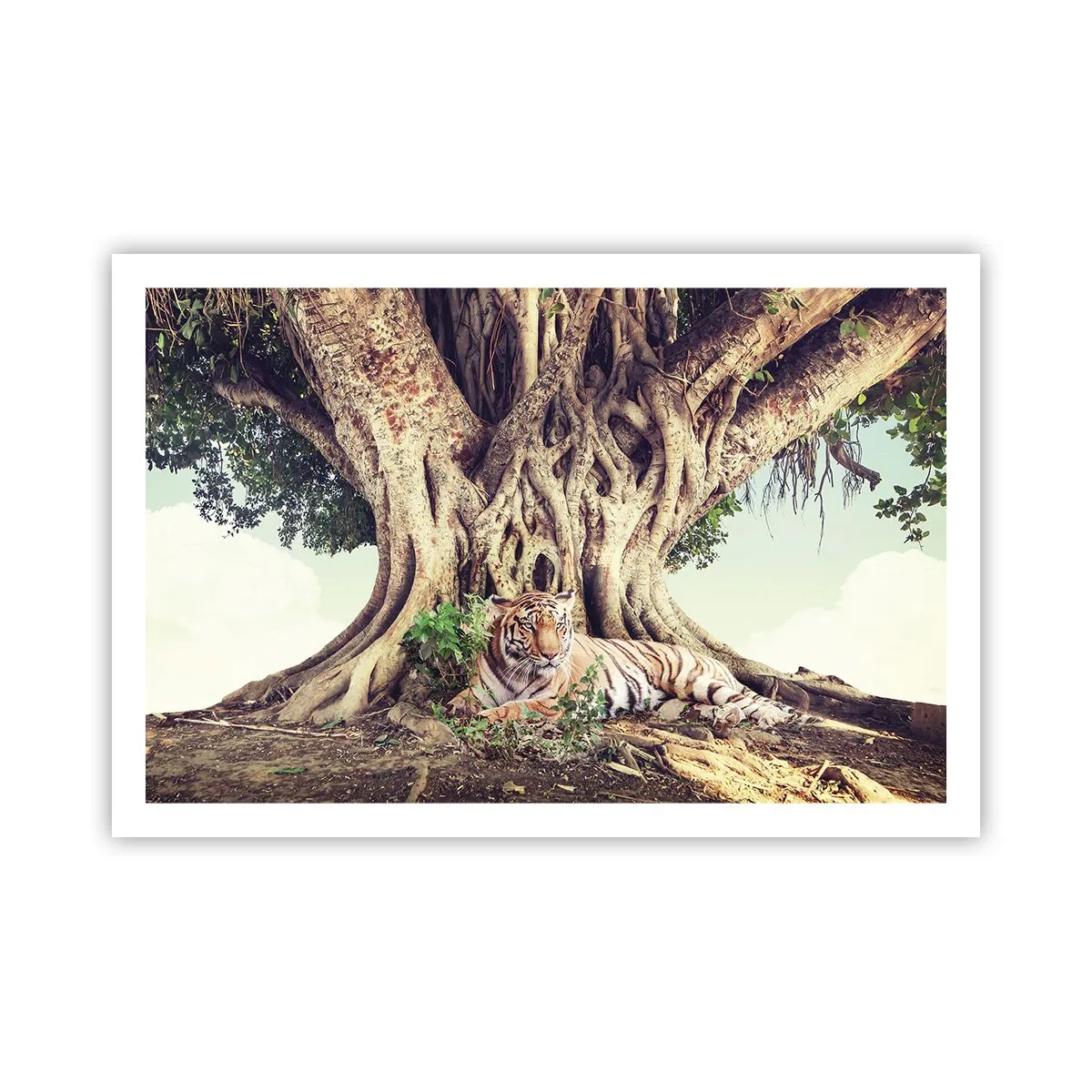 Poster - O perspectivă din Geneză - 91x61 cm